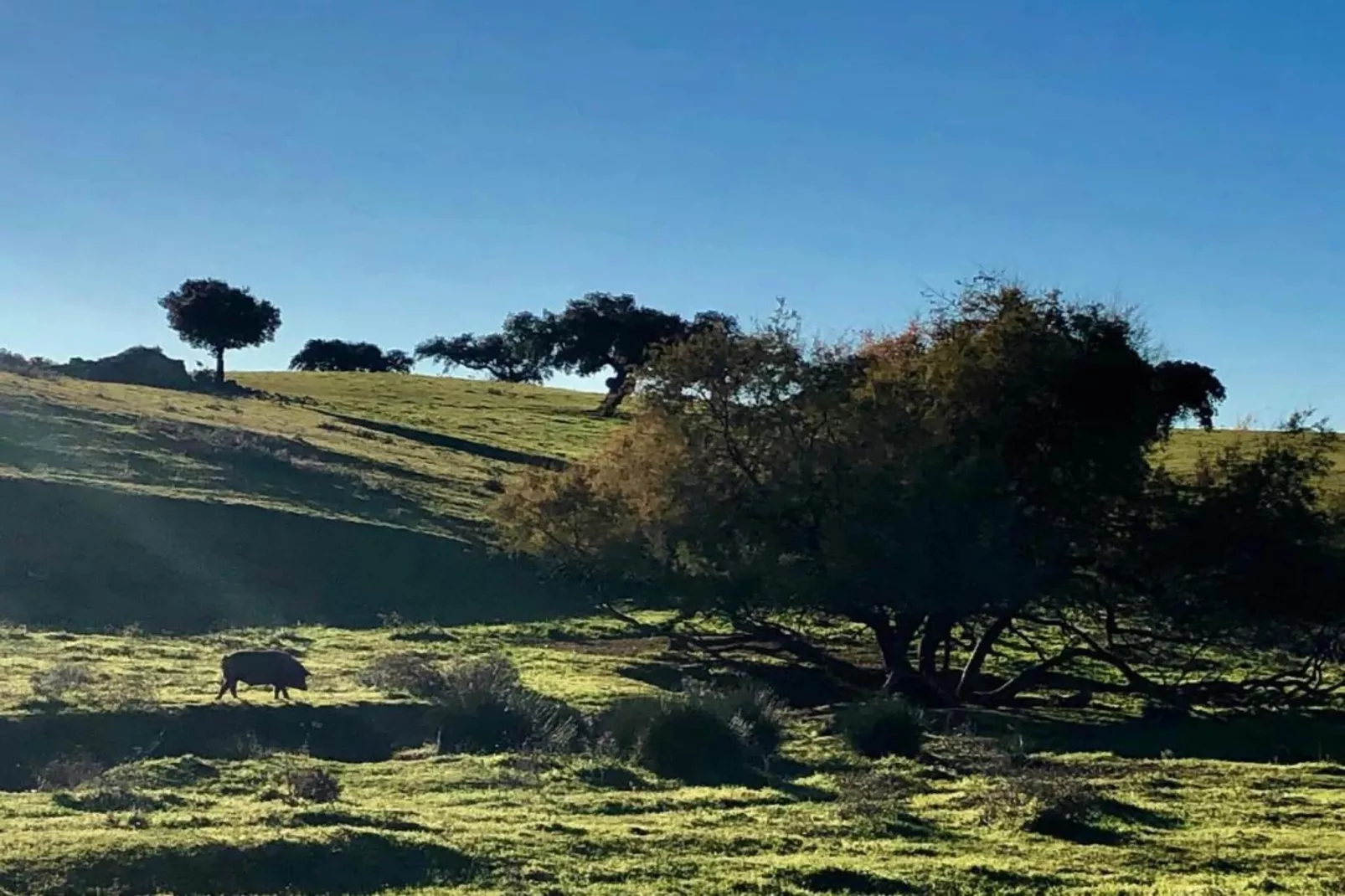 Villapark Ehzerburg 2-Gebieden zomer 20km