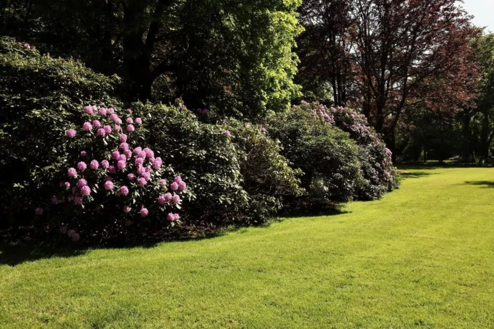 Vakantiepark De Lochemse Berg 1-Gebieden zomer 20km