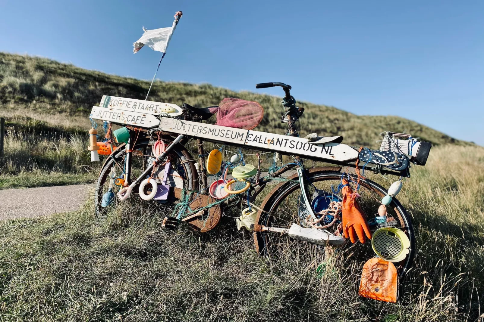 INFINITY-Gebieden zomer 1km