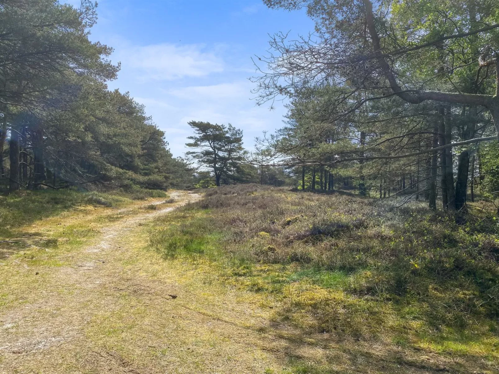 "Mikaela" - 1km from the sea-Buiten