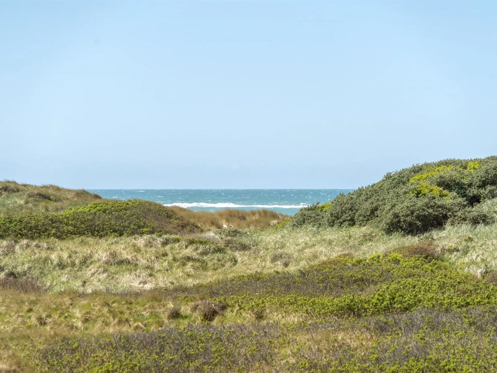 "Ecaterina" - 100m from the sea-Buiten