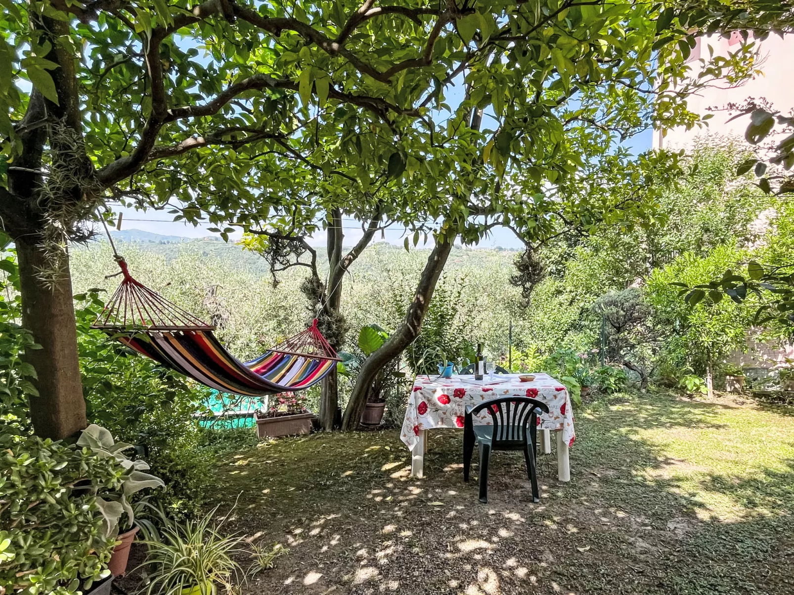 Elisa (DOL127)-Buiten