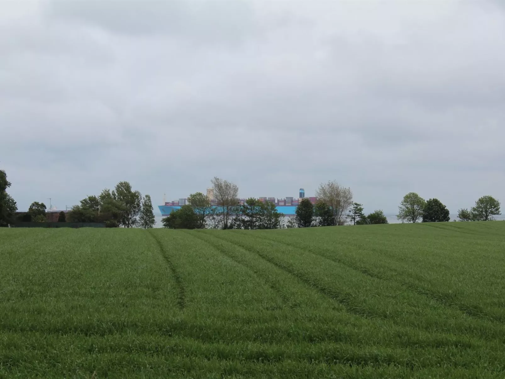 "Harre" - 300m from the sea-Buiten