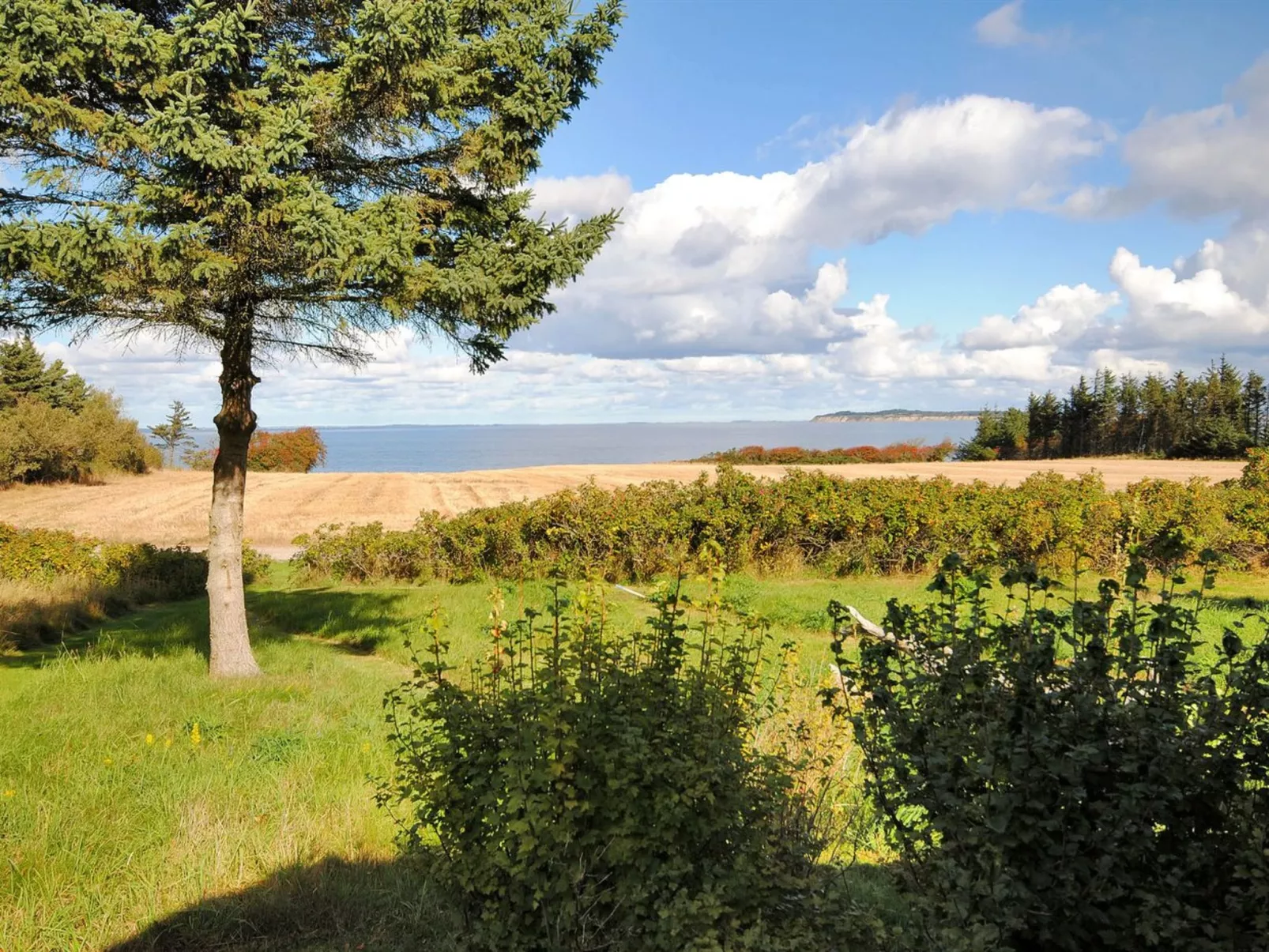 "Kaleva" - 200m to the fjord-Buiten