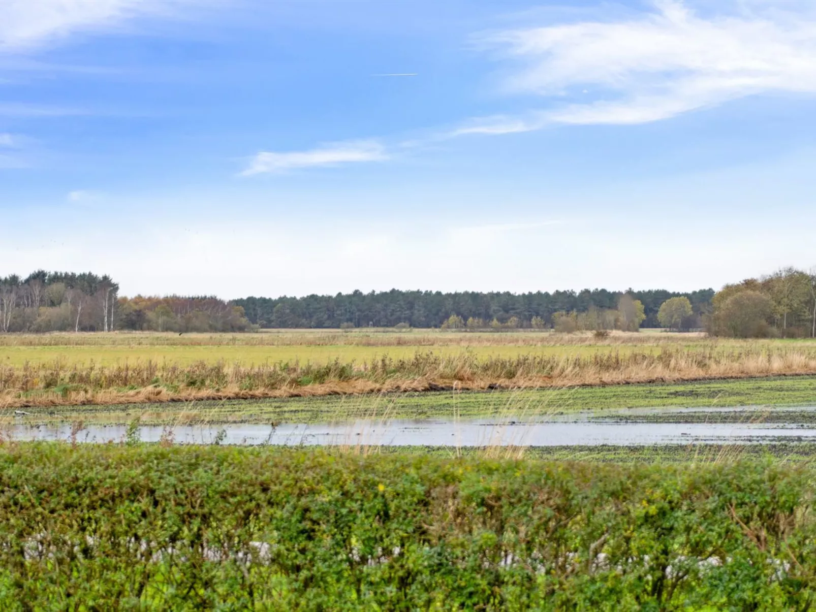 "Thrugels" - 600m from the sea-Buiten