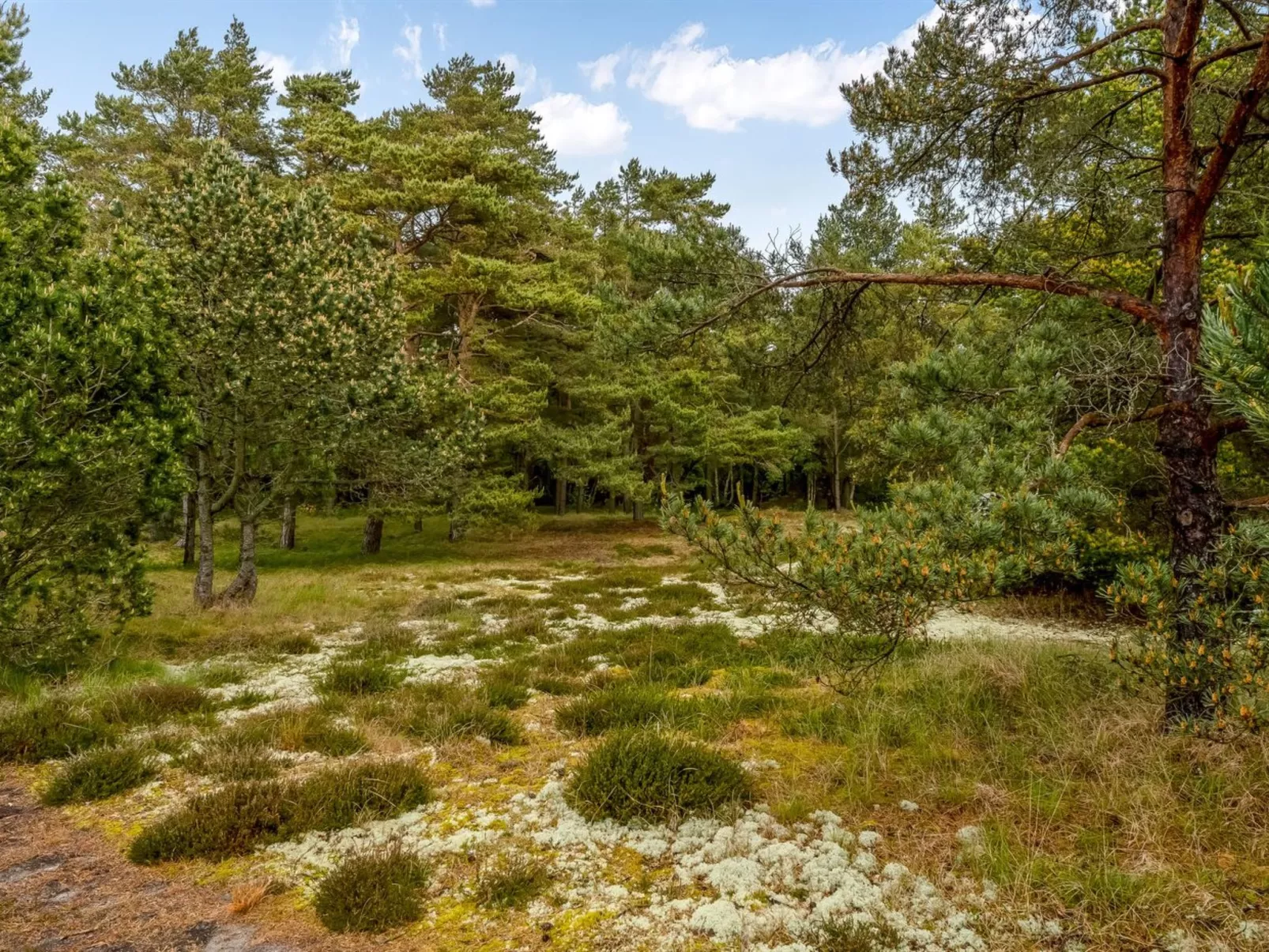 "Eliza" - 600m from the sea-Buiten