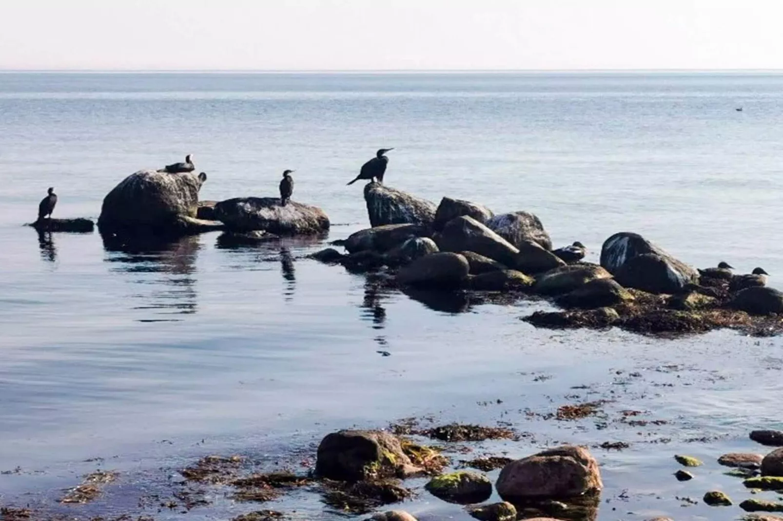 4 sterren vakantie huis in Gørlev-By Traum-Waterzicht