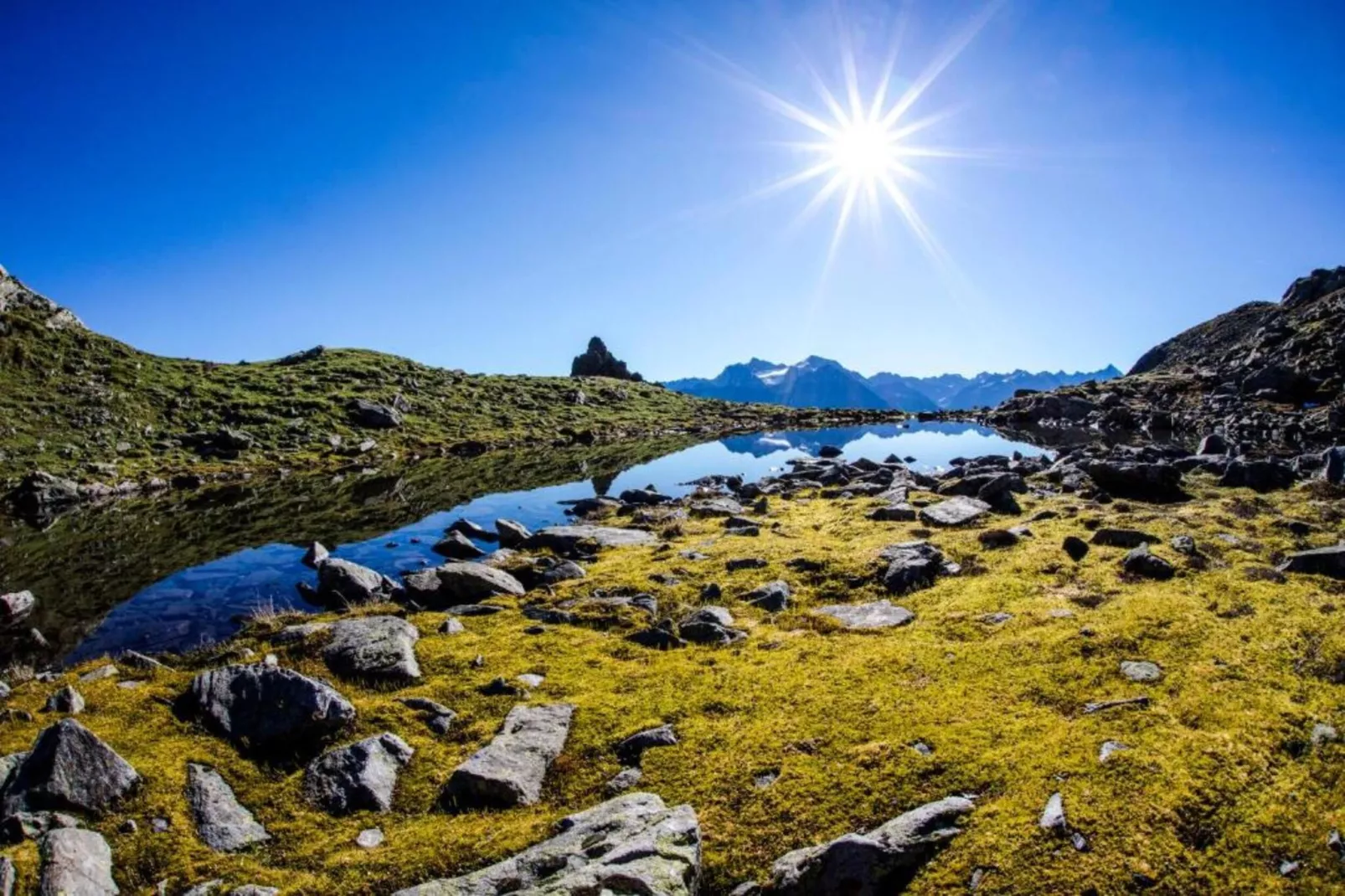 Ferienwohnung Jutta-Gebieden zomer 20km