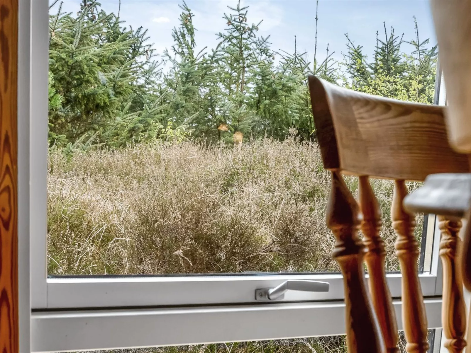 "Kaare" - 400m from the sea-Binnen