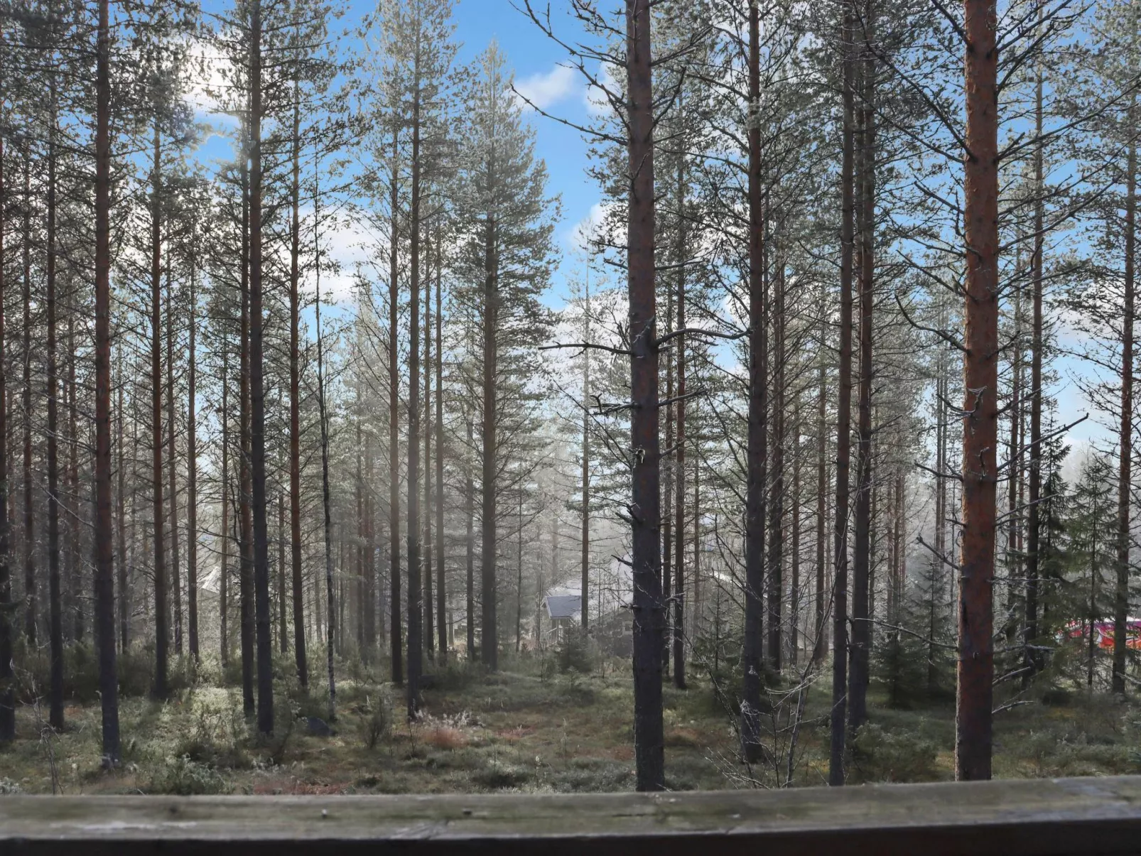 Alppitalo mökki-Binnen