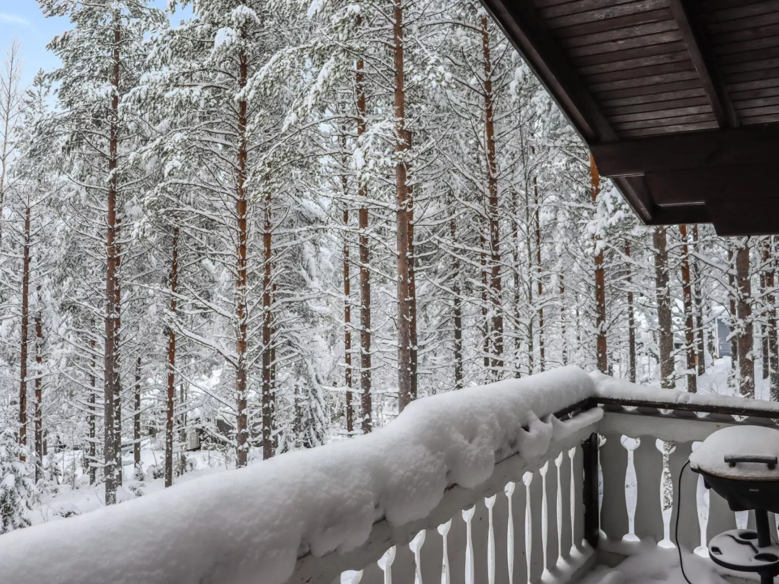 Hyrynpirtti mökki-Binnen