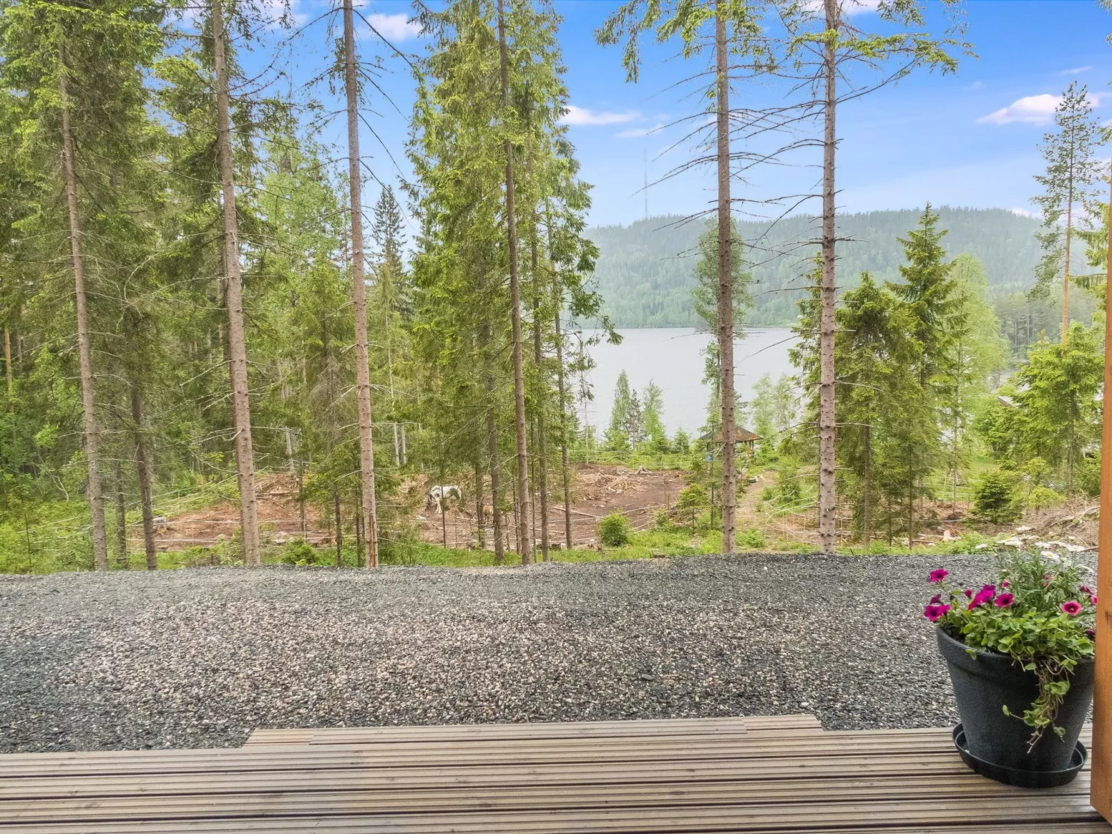 Kolin kangastus kanerva 4-Binnen