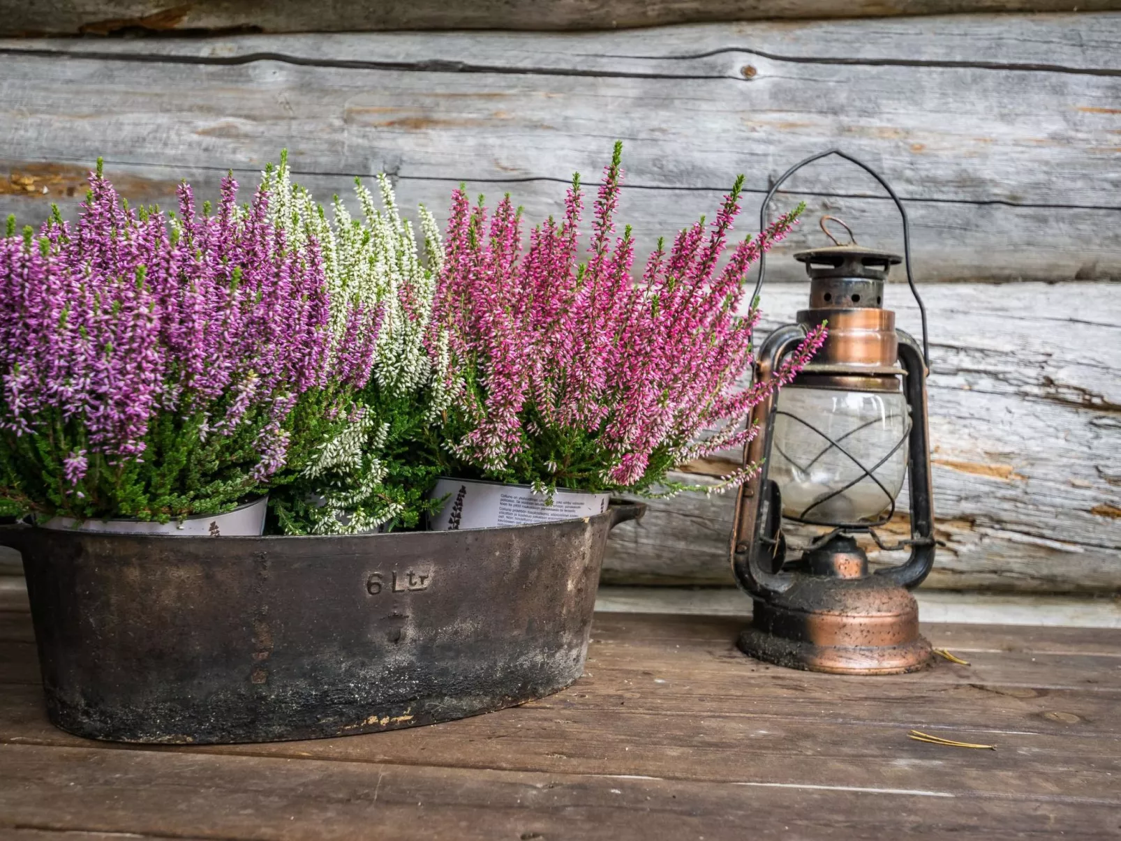 Mäntyranta lodge-Binnen