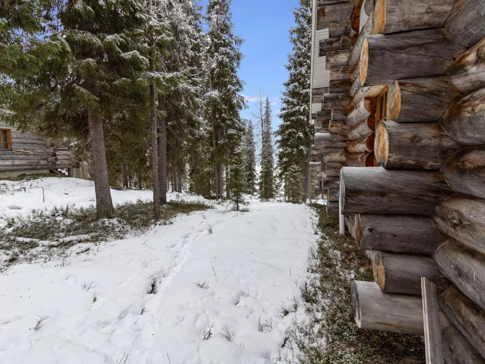 Aurinko-ruka c6-Binnen