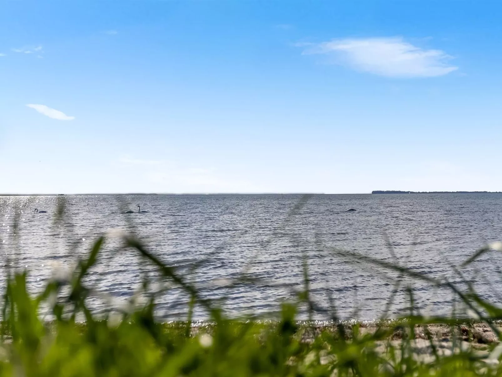 "Ørn" - 5m from the sea-Buiten