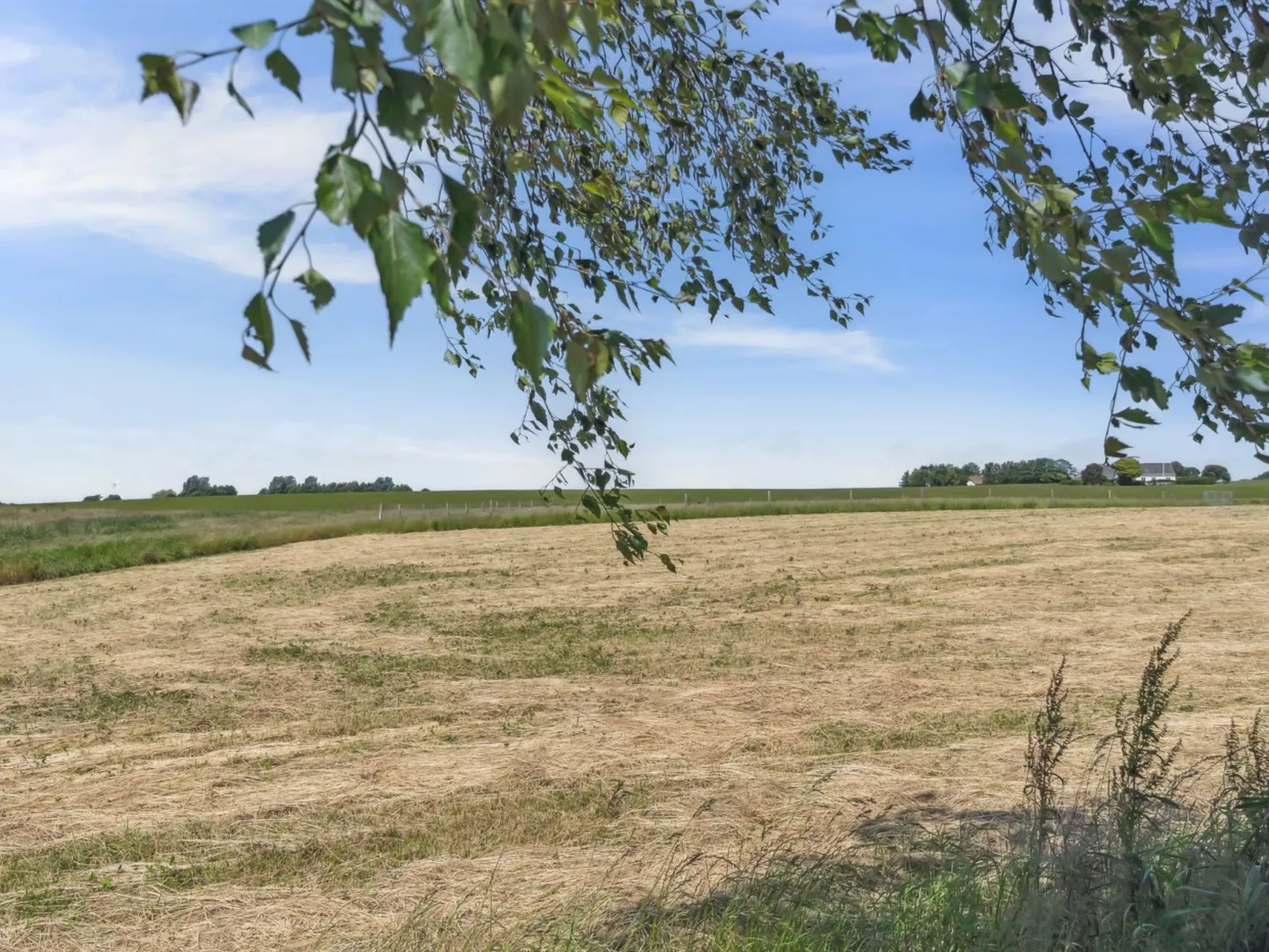 "Lacey" - 4km from the sea-Buiten