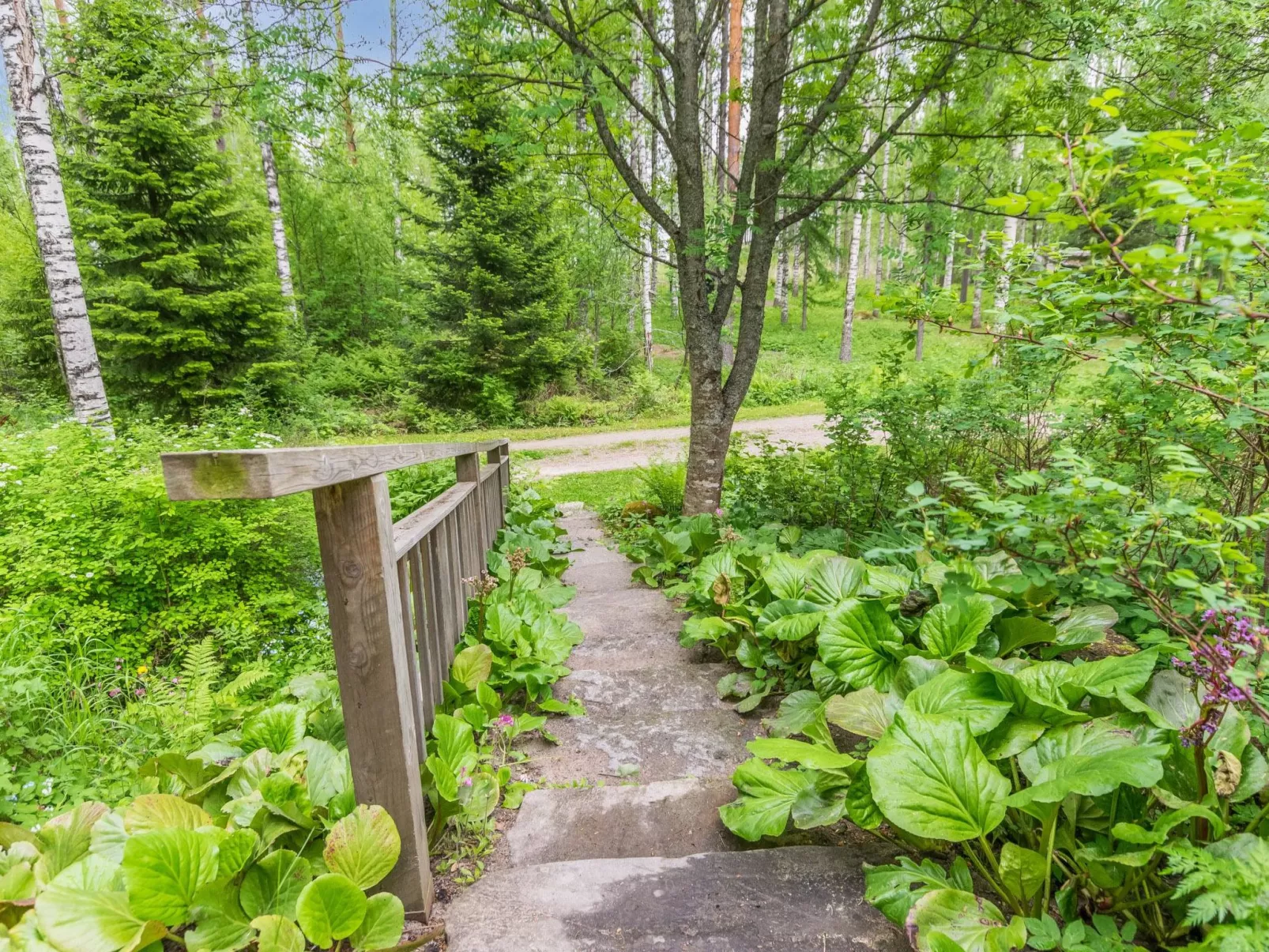 Tervapääsky-Binnen