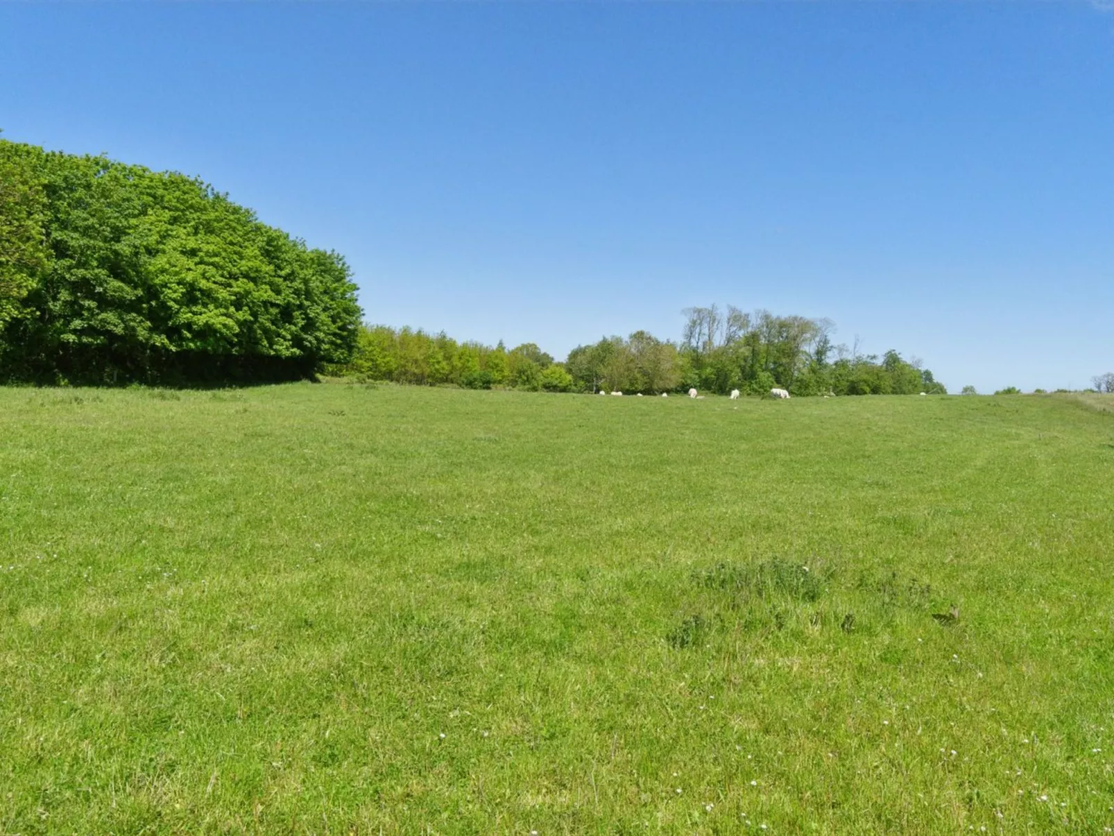 "Aarni" - 6.5km from the sea-Buiten