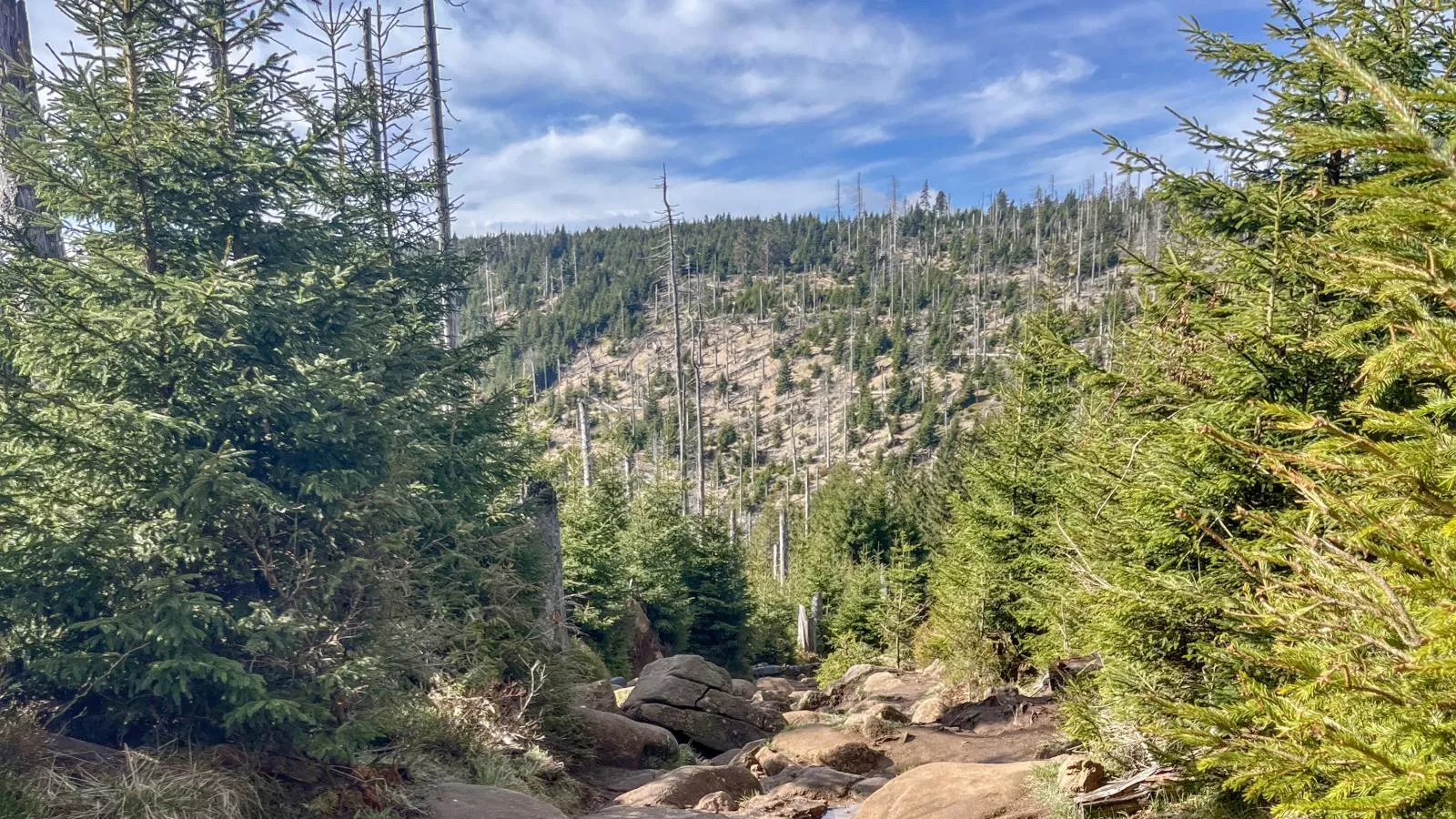 Mompels-Gebieden zomer 20km