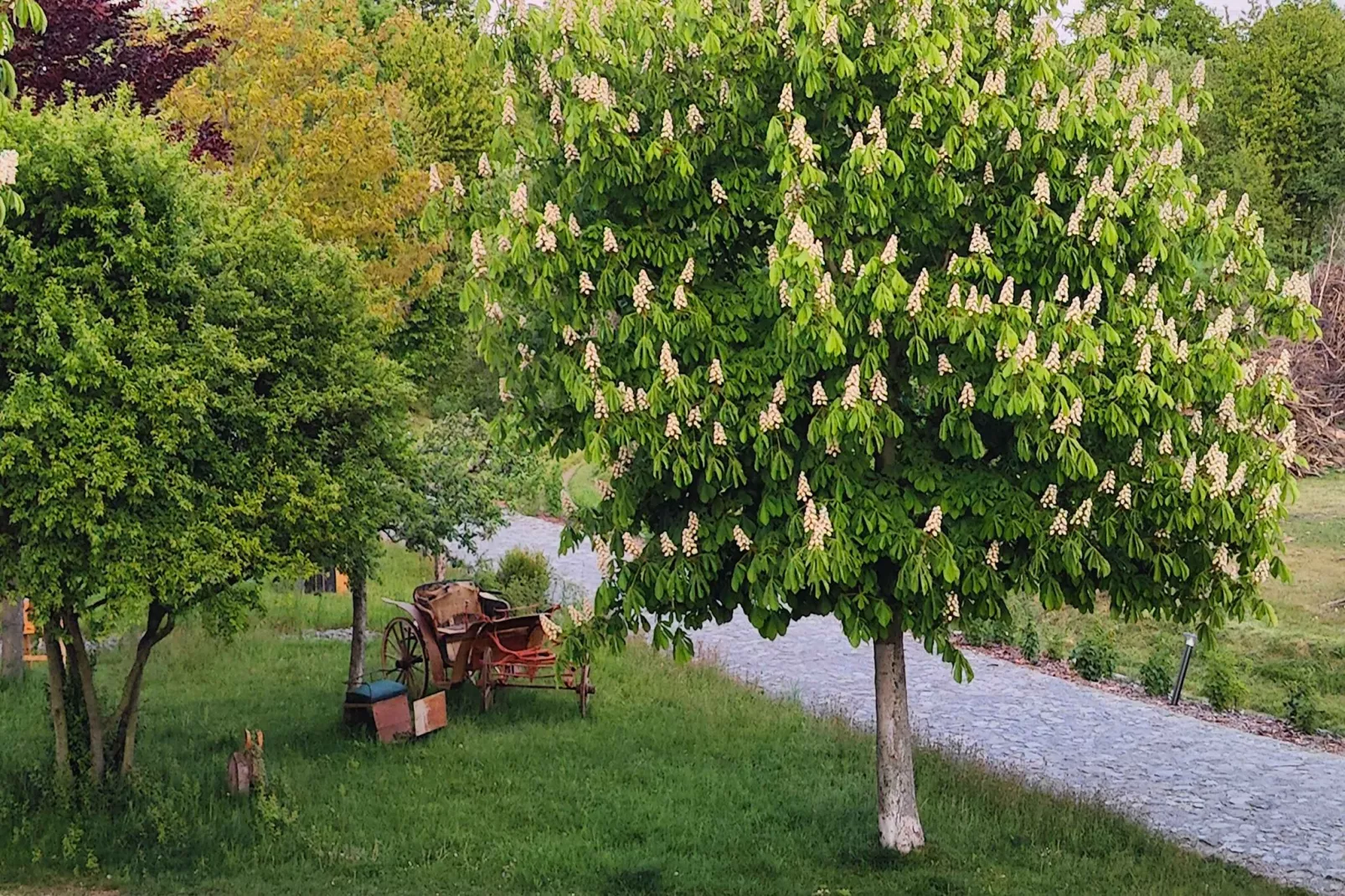 522 Galerie Sauna-Niet-getagd