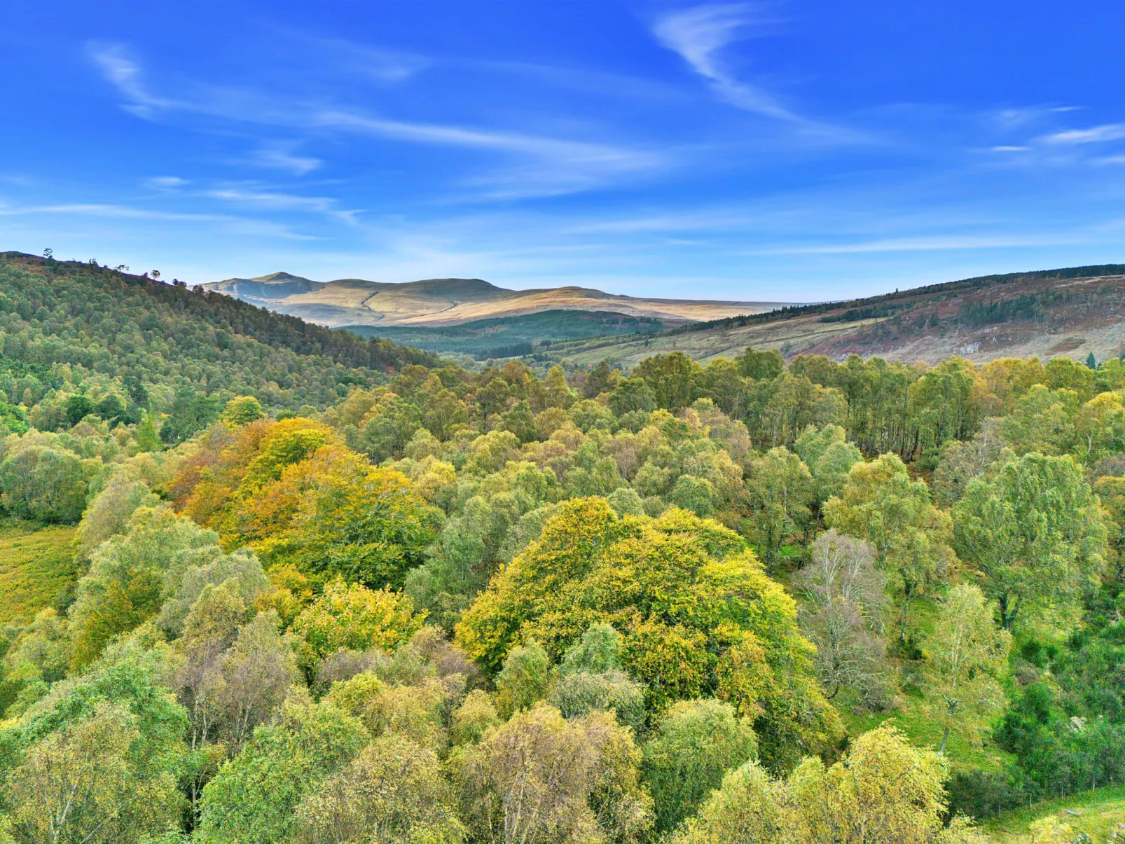 Cosagach Falls Cabin-Buiten