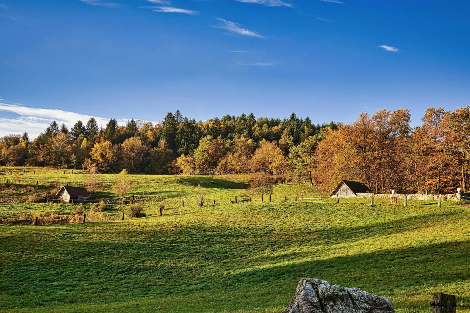 Visnja Gora Meadow Hideaway with Terrace - One Bedroom Cottage with Terrace (owner Hiška na skalci)-Buitenlucht