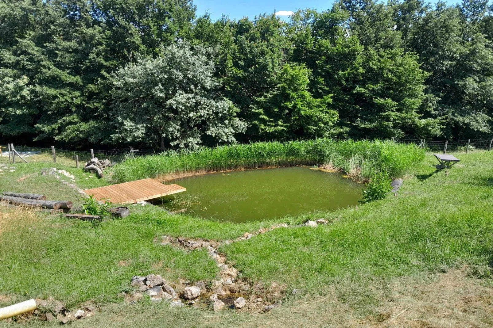 Hidden Authentic Haven Apartments - One Bedroom Apartment with Terrace-Buitenlucht