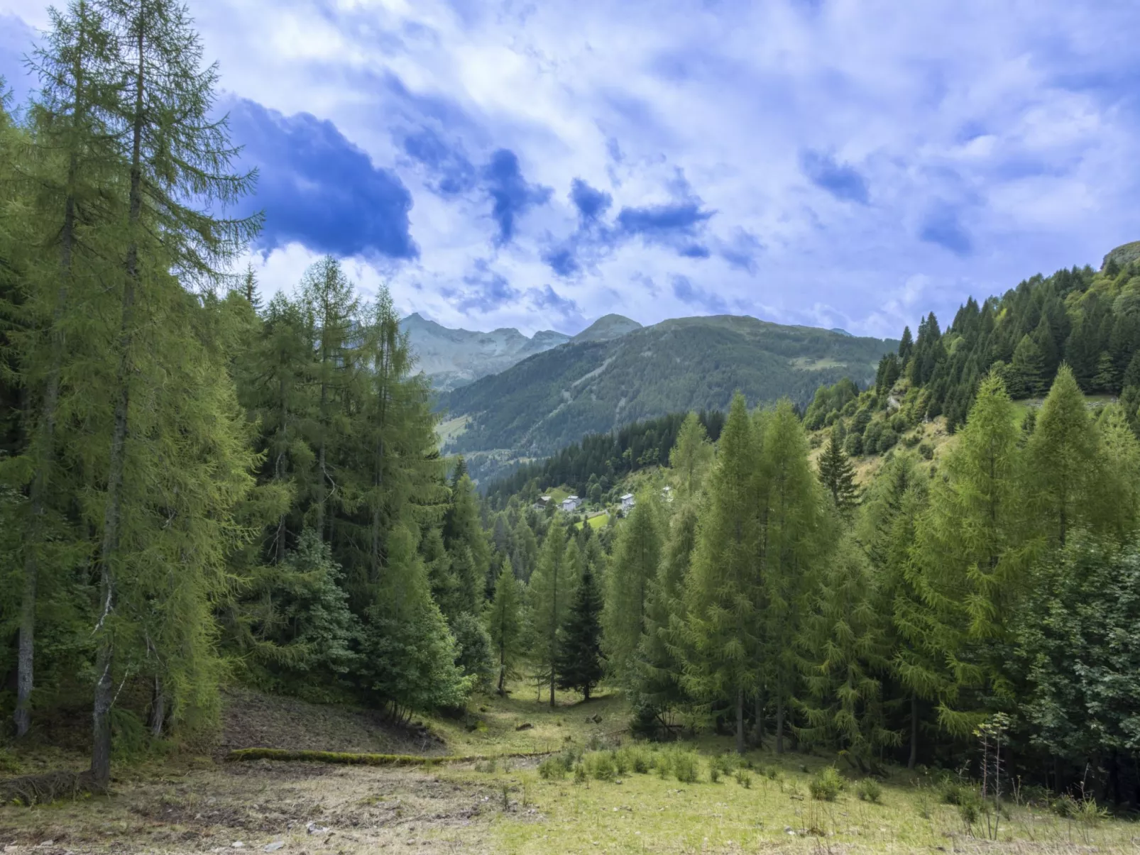 Residence gli Scoiattoli-Buiten