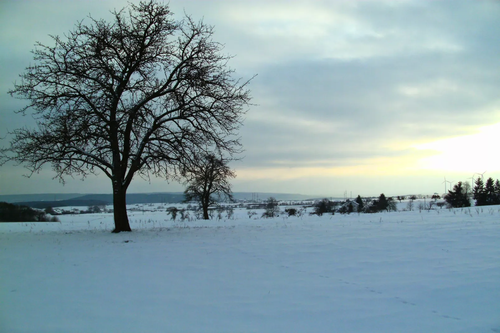 Gästezimmer Eifelglück-Gebied winter 5km