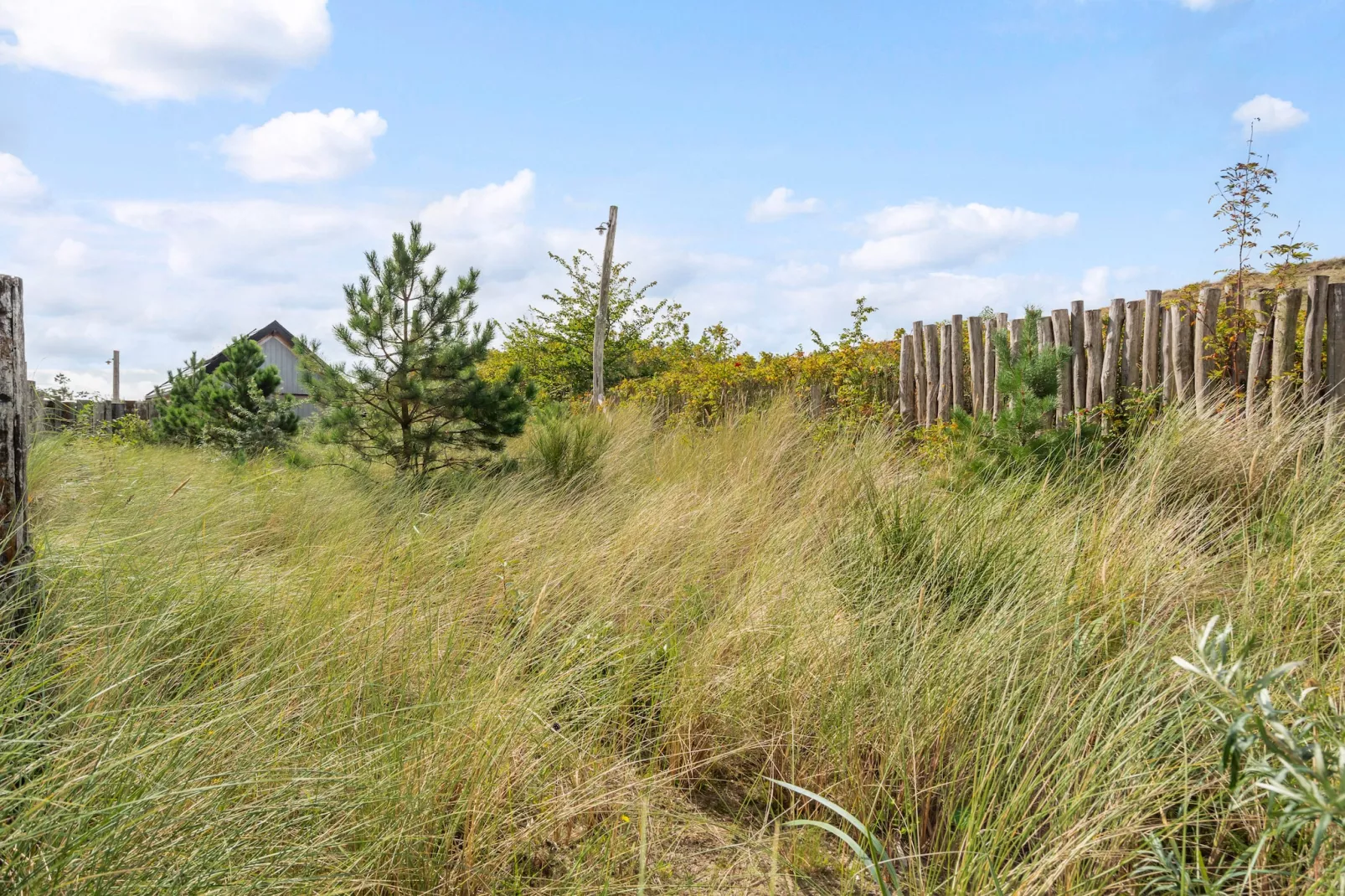 Apartment Zand | 4 Persons-Gebieden zomer 5km