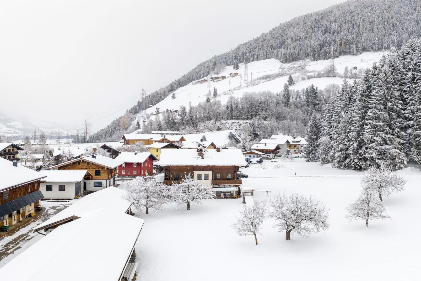 Apartment "Schattberg"-Gebied winter 1km