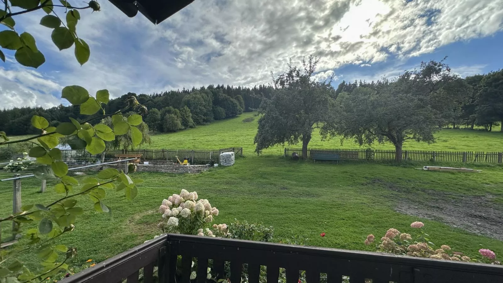 Neubert-Uitzicht zomer