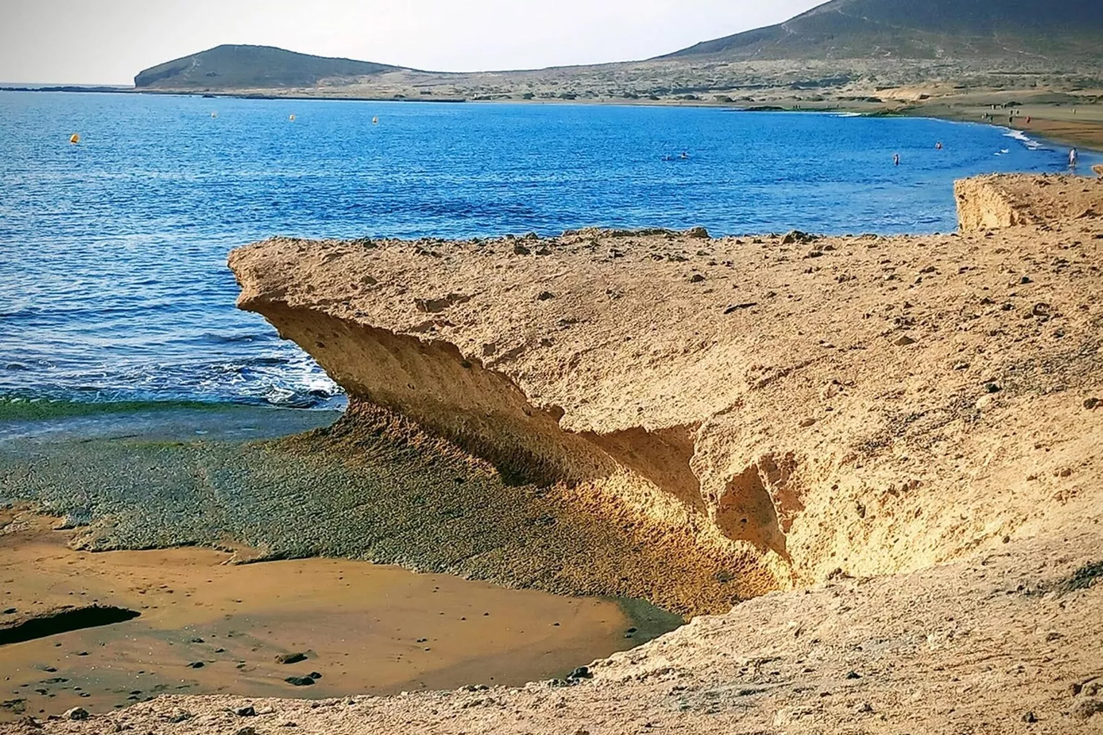 Delfin 101-Gebieden zomer 1km