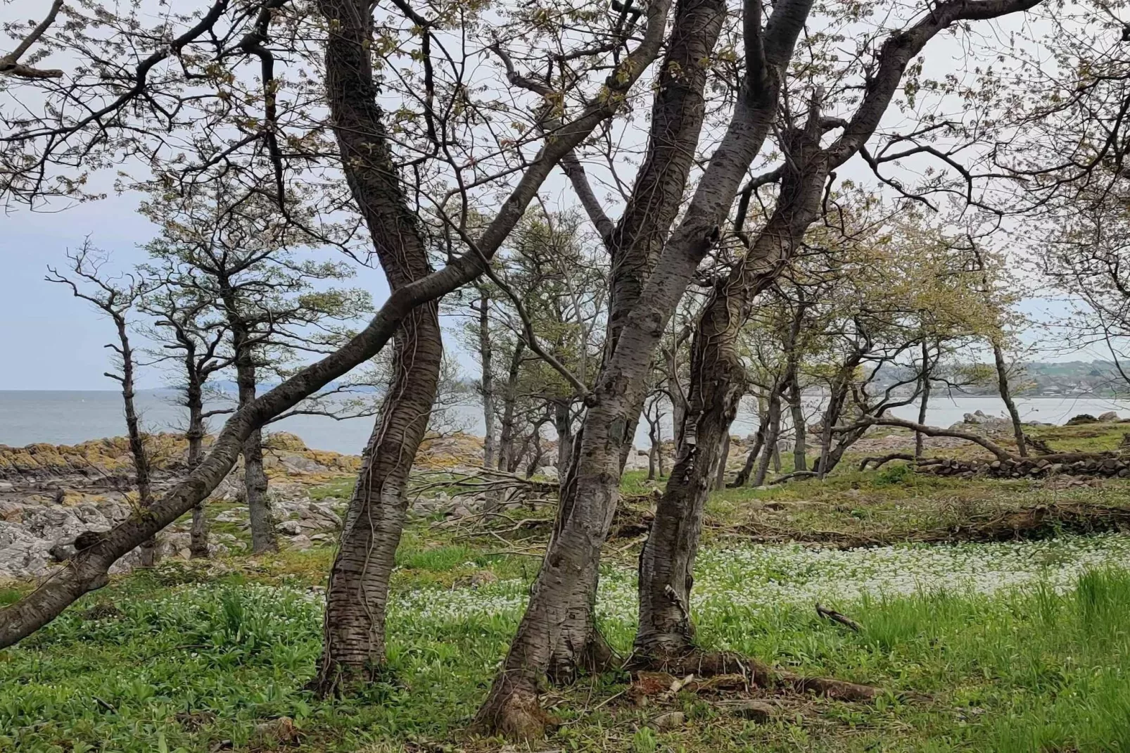 5 sterren vakantie huis in Allinge-Buitenlucht