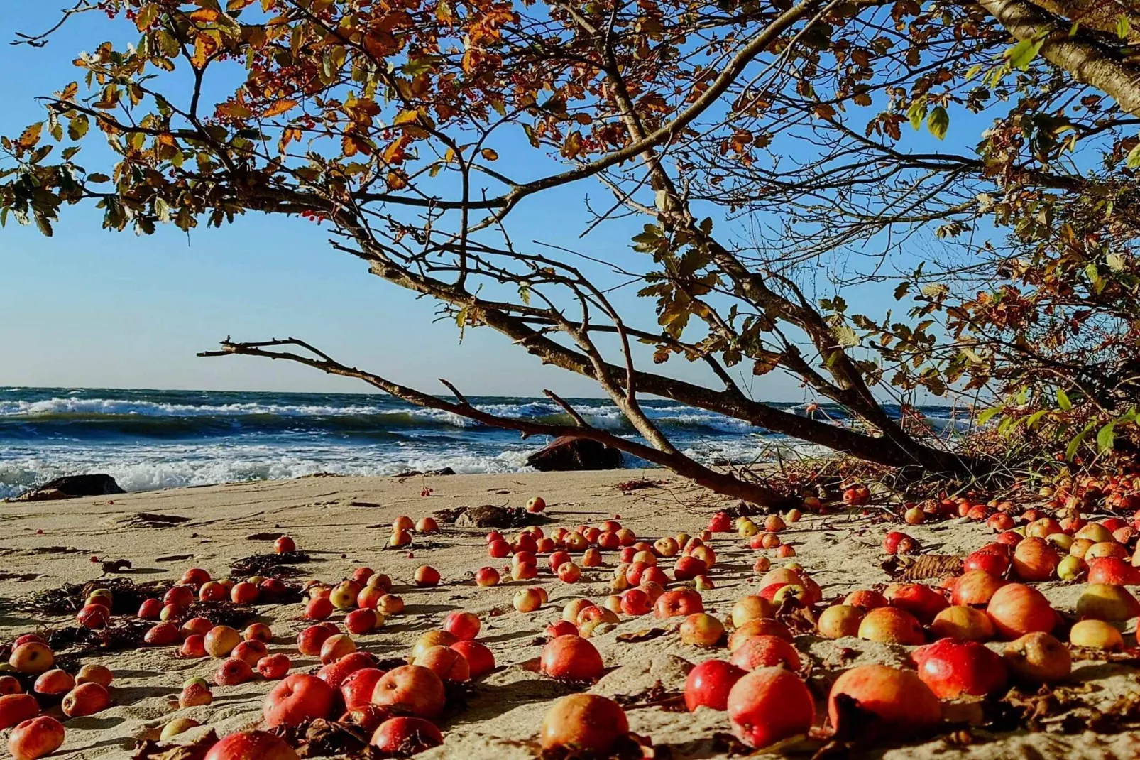 5 sterren vakantie huis in Rønne-Waterzicht