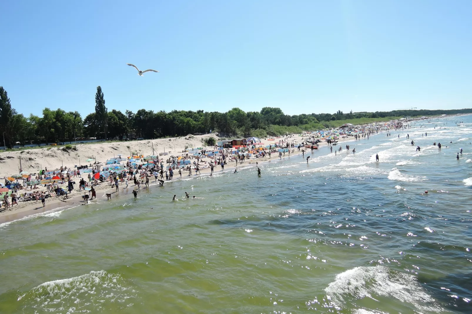 Green Hill Domysłów-Gebieden zomer 5km