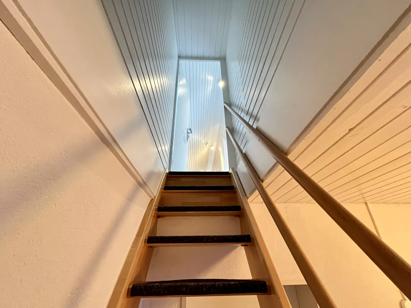 Falkennest - mit Blick auf den Titisee-Binnen