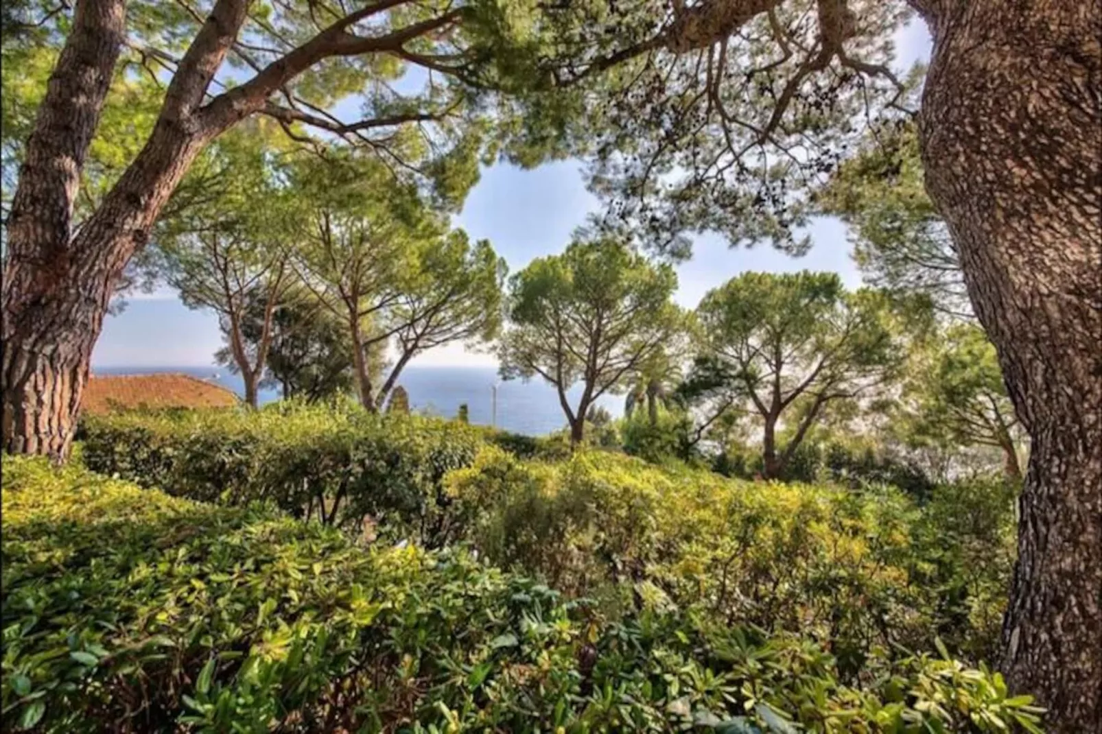 06db Magnifique Appartement Vue Incroyable Mtboron-Niet-getagd