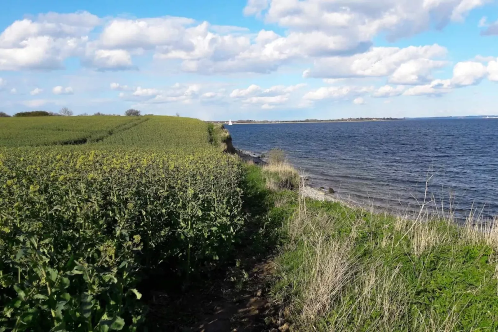 8 persoons vakantie huis in Haderslev-By Traum-Waterzicht