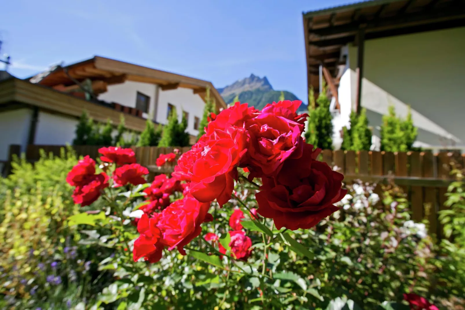 Grüner-Tuinen zomer