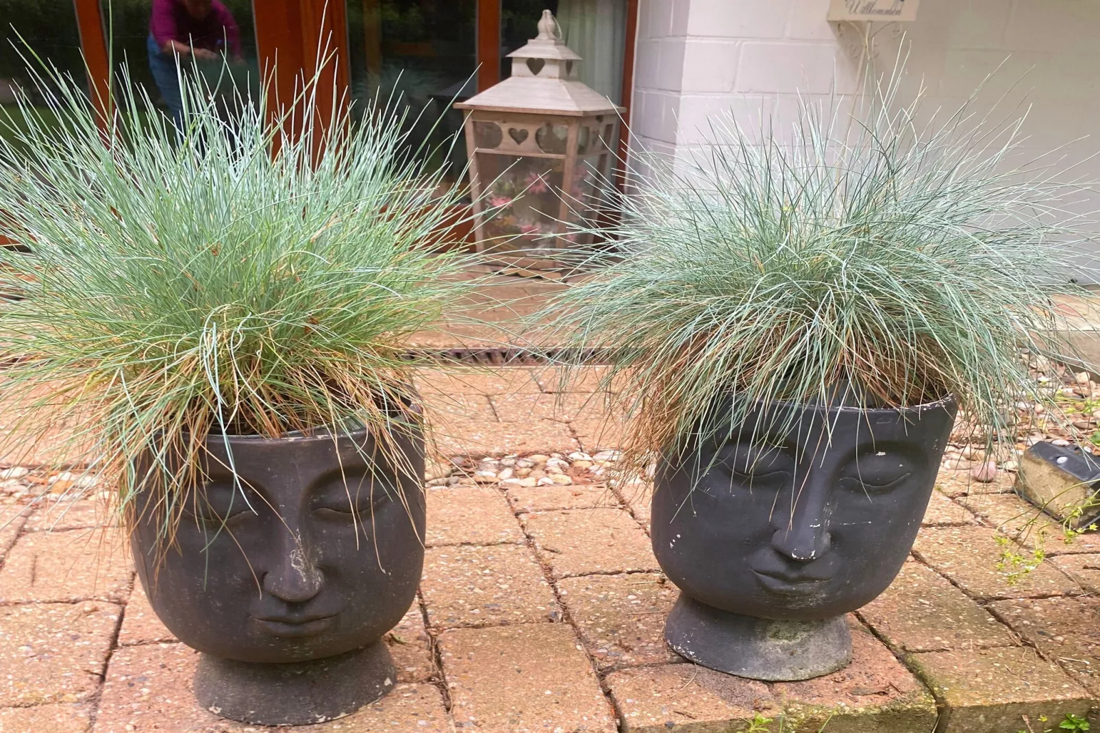 Boschhuys-Tuinen zomer