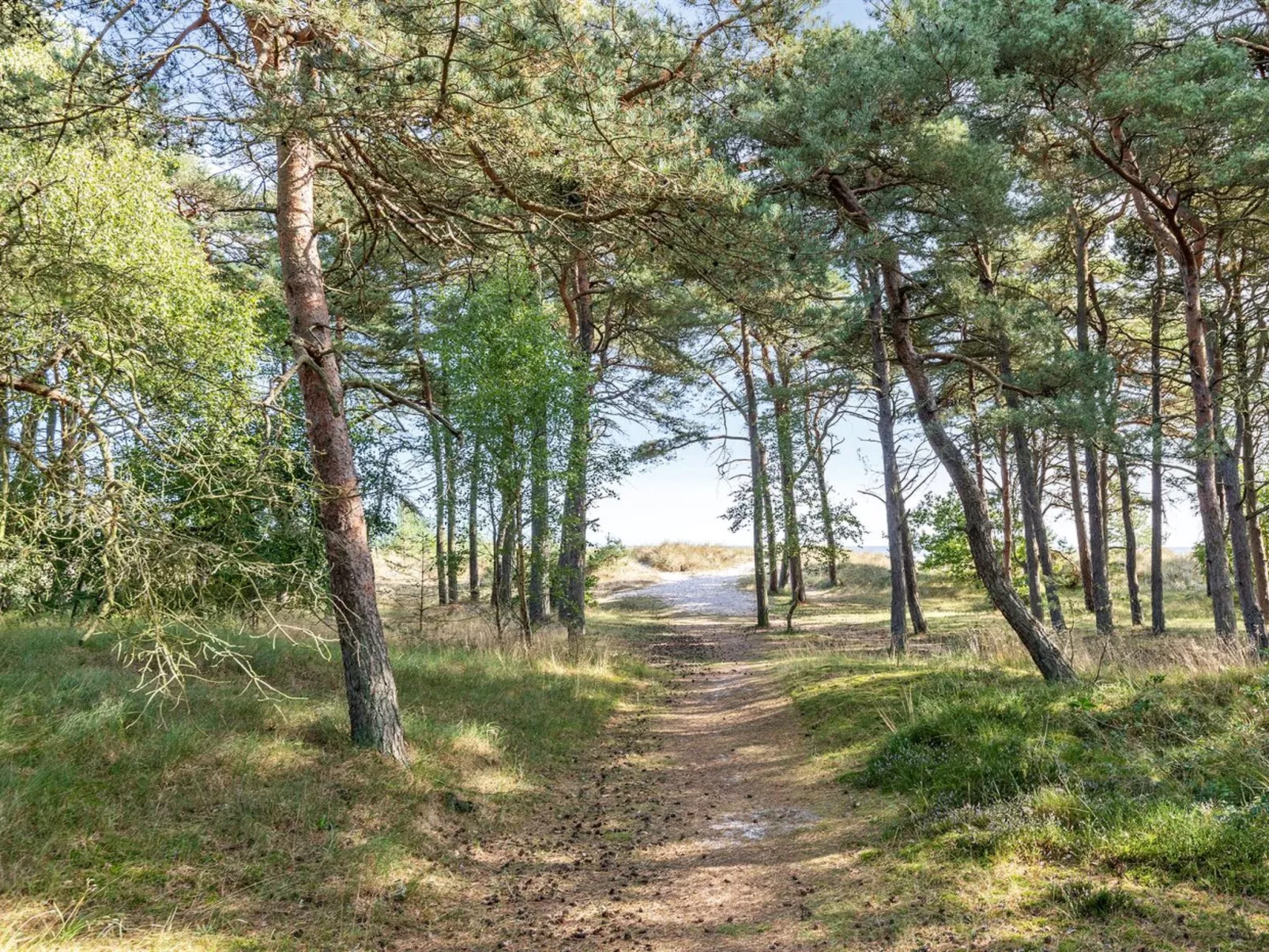 "Selvi" - 125m from the sea-Buiten