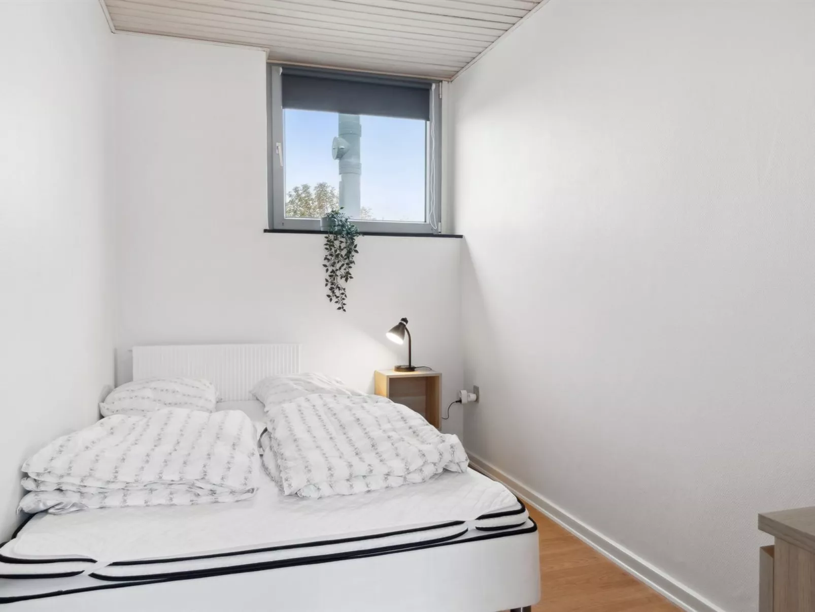 "Elaine" - 350m from the sea-Binnen