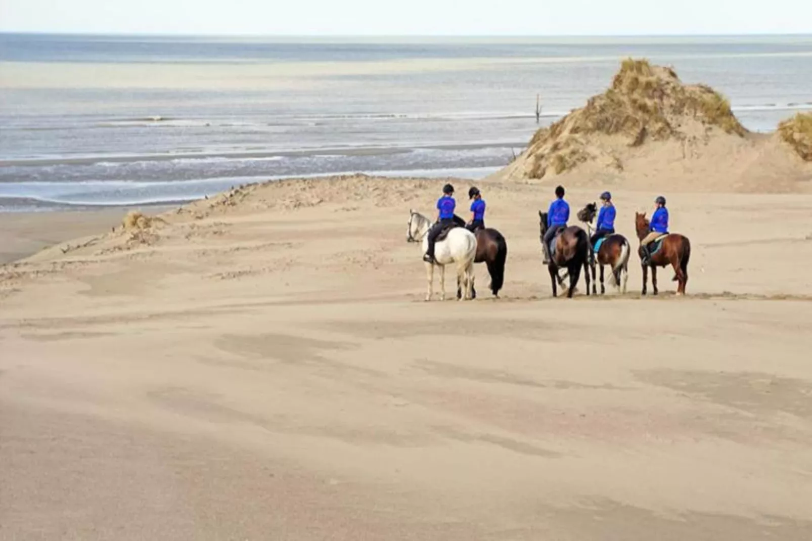 Manderley 0304-Gebieden zomer 20km