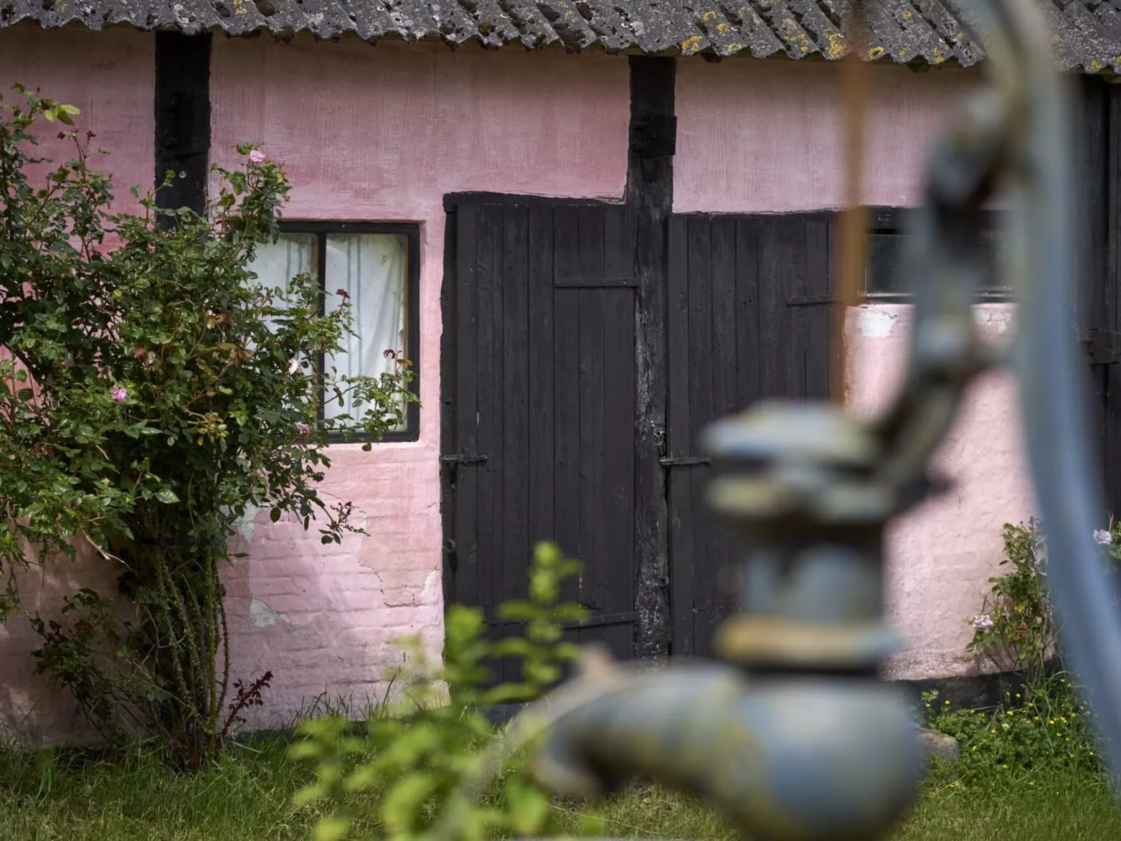 "Merrit" - 250m from the sea-Buiten