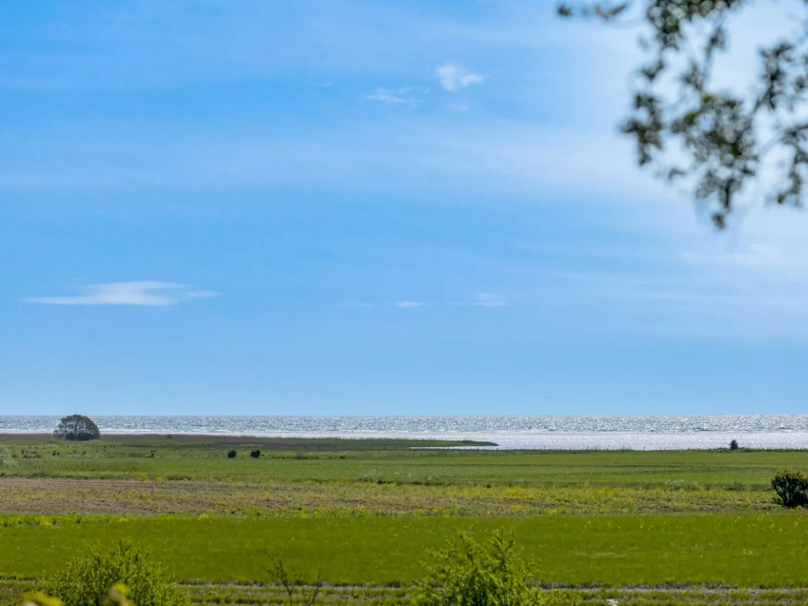 "Veronica" - 700m from the sea-Buiten