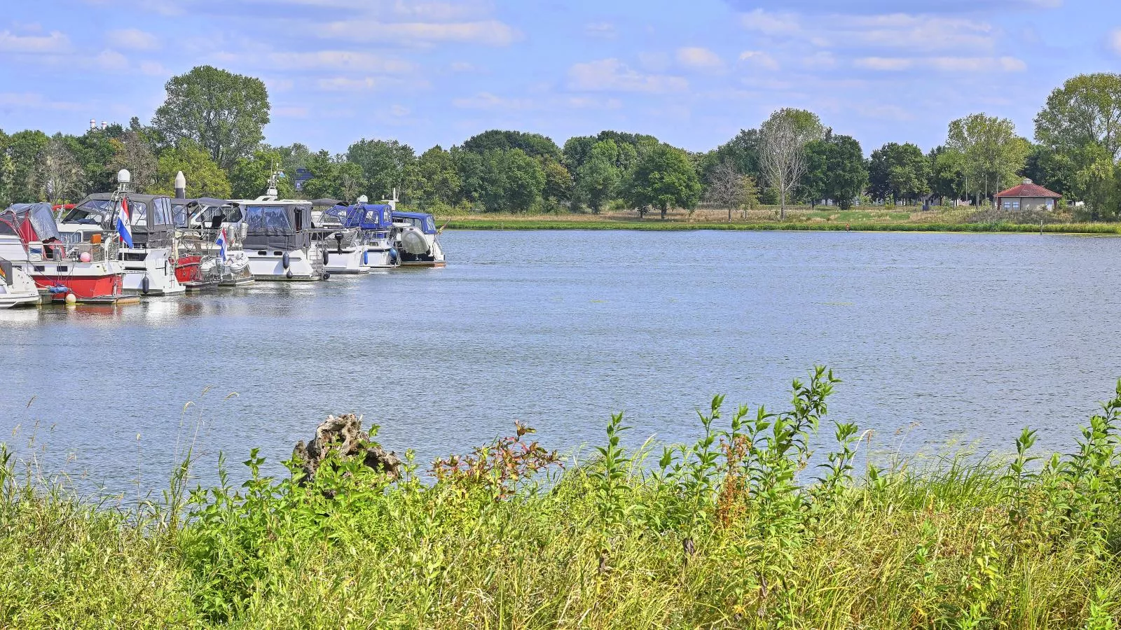 Rose Garden-Uitzicht zomer