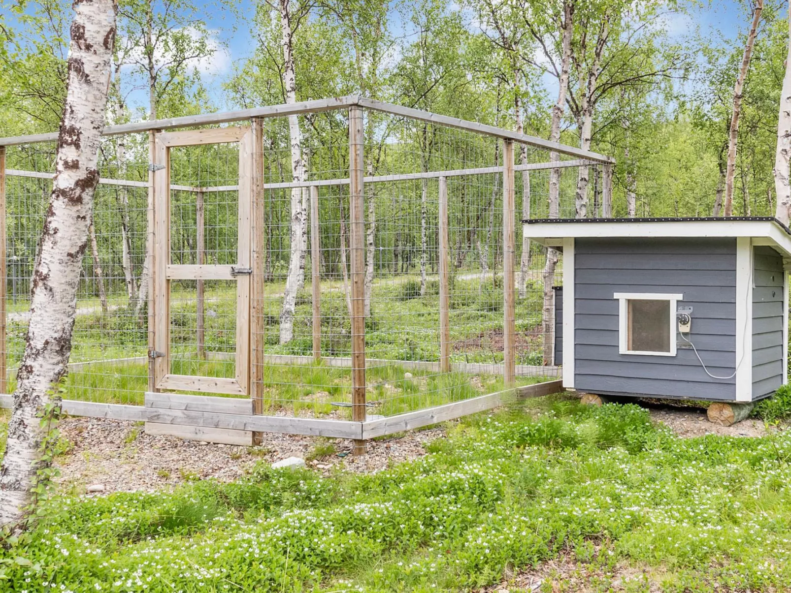 Mökki tenolla-Binnen