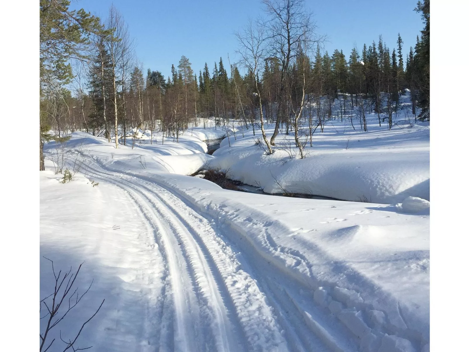 Sallanhelmi a2-Binnen