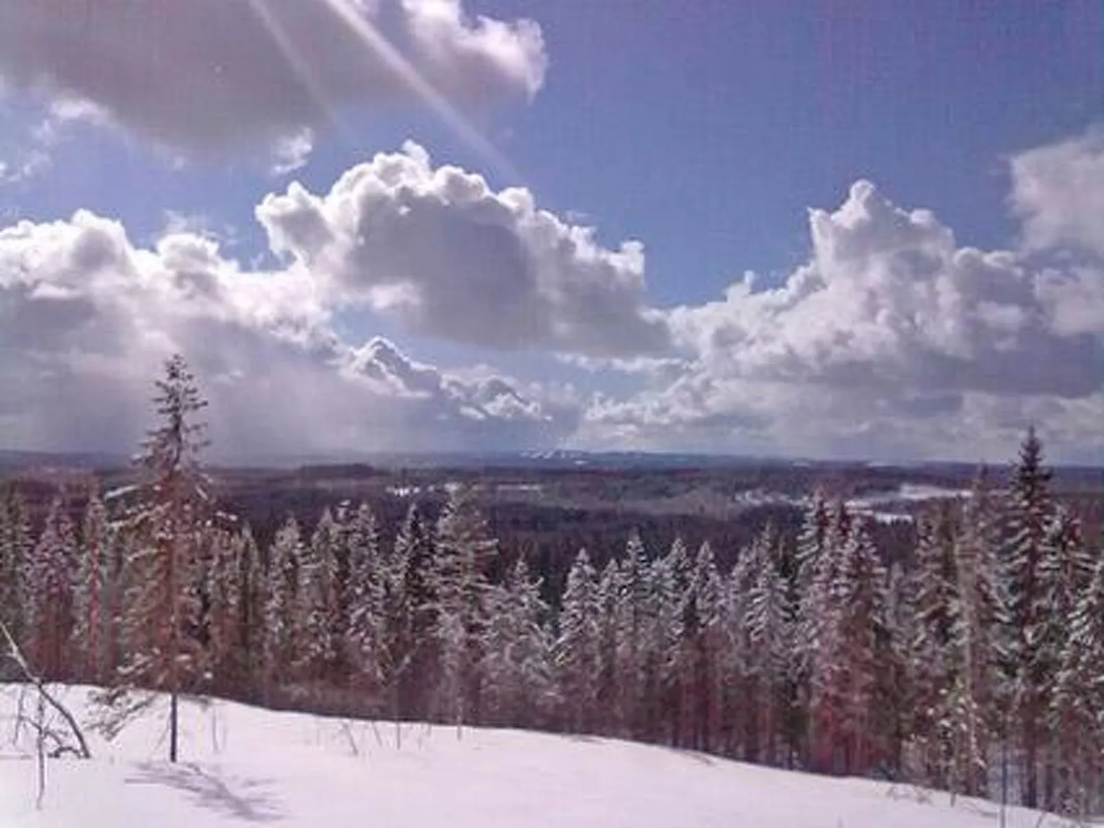 Villa savonia-Binnen